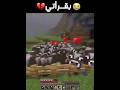 لللليش