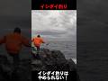 イシダイ釣りはやめられない！