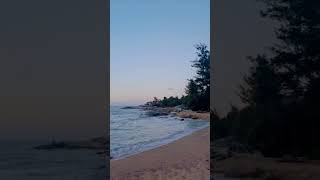 Suara Ombak Pantai shorts ombak pantai