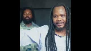 Inkabi Ne Nkabikazi (Ft. Diary & Skillz) - S'yaz'Siyizoni (Visualiser)