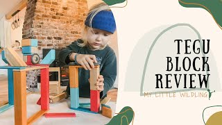 Tegu Block Review: Toy Review of Tegu 42 Block Set and Tegu Stacker