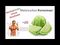 Mengobati Kanker dengan Kubis Mengobati Kanker dengan Kubis