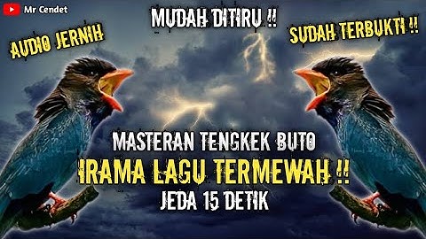 NGERIII..!!!MASTERAN TENGKEK BUTO || IRAMA LAGU TERMEWAH || JEDA 15 DETIK