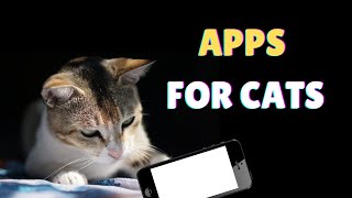 Mobile App that Translate ''Cat Meows'' into Words Humans can understand screenshot 2