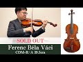 ヴィオラ】Ferenc Béla Váci CDM-R/A - YouTube