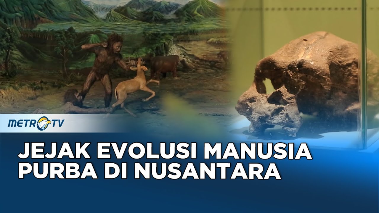 [ FULL ] Melawan Lupa - Jejak Evolusi Manusia Purba di Nusantara