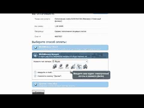 Оплата покупок с кошельков WebMoney