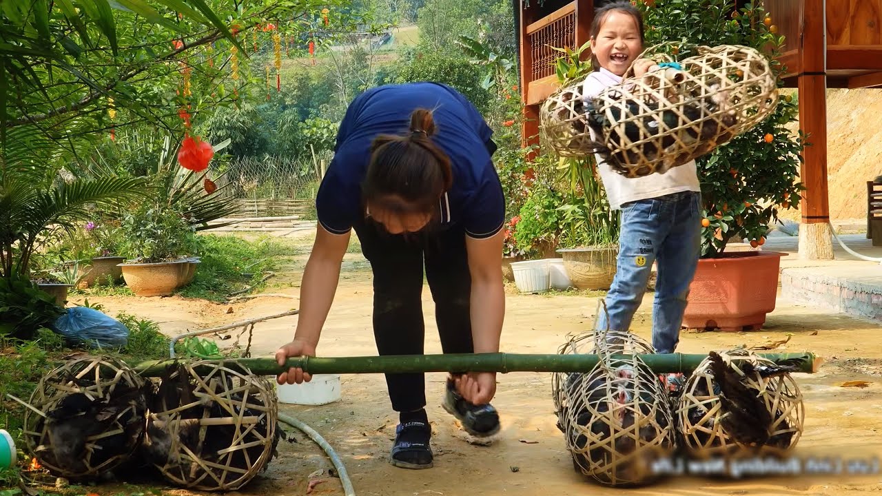 My Daughter and I Took Ducks and Geese to the Market to Sell. Taking Care of the Pigs - 30days Farm