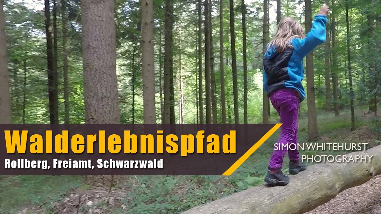 Walderlebnispfad | Rollberg | Freiamt | Schwarzwald | Black Forest