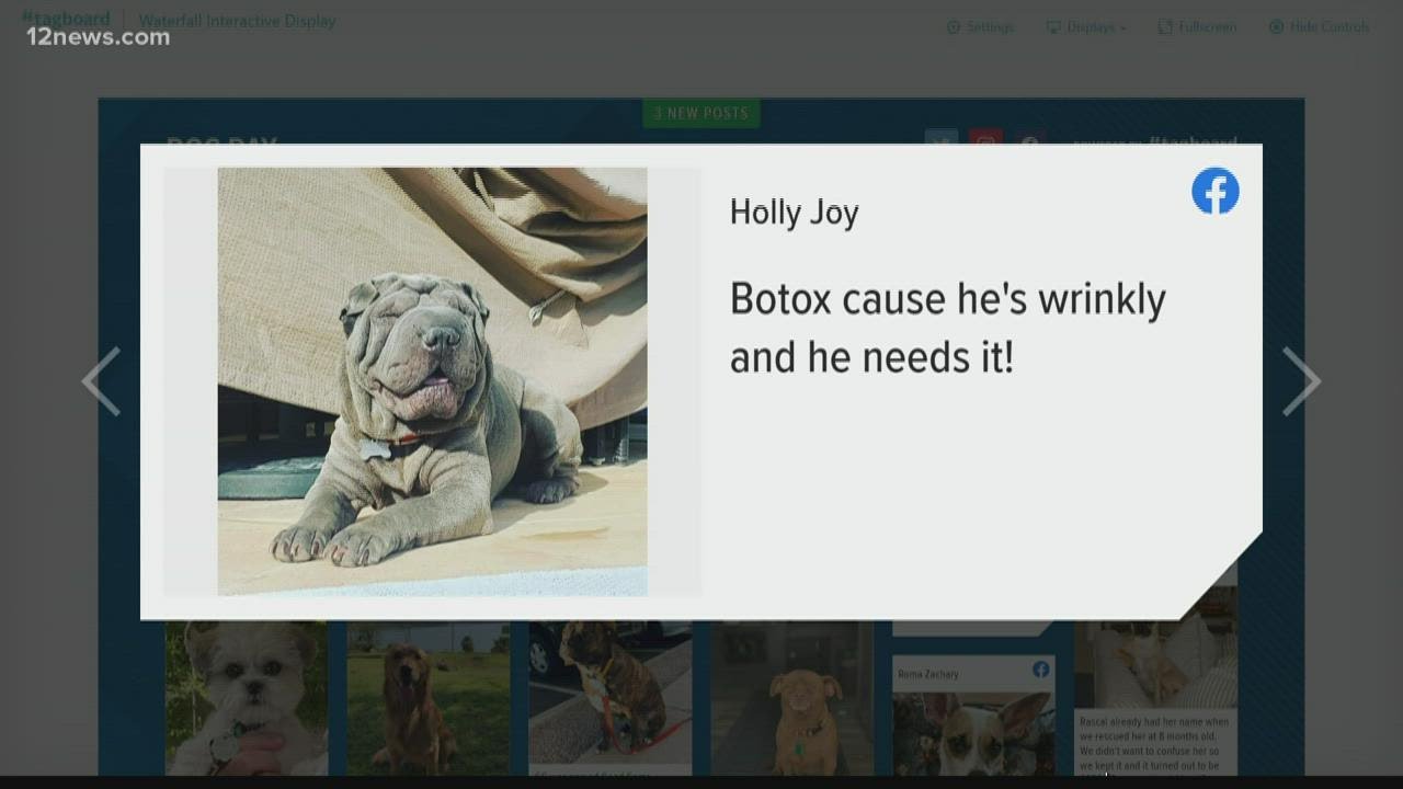 generic frontline plus at walmart