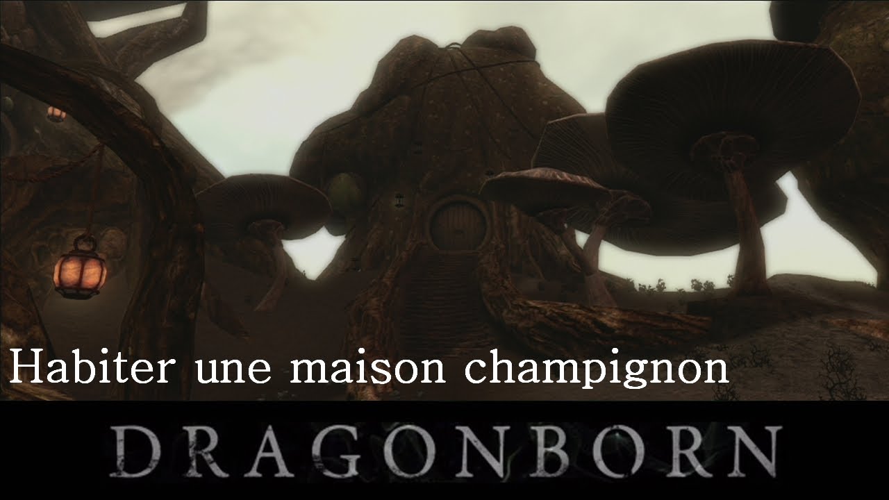 Skyrim - Comment avoir ou habiter une maison champignon gratuitement