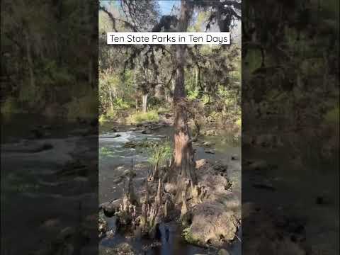 Wideo: Parki Stanowe Floryda w rejonie Zatoki Tampa