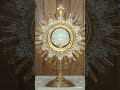 🙏I believe in you, Jesus! 🙏Eucharistic Adoration! 💖 Live Adoration of the Blessed Sacrament