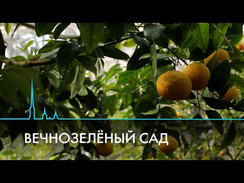 Один день из жизни Ботанического сада Санкт-Петербурга