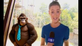 Monkey Kong: Banana screenshot 3