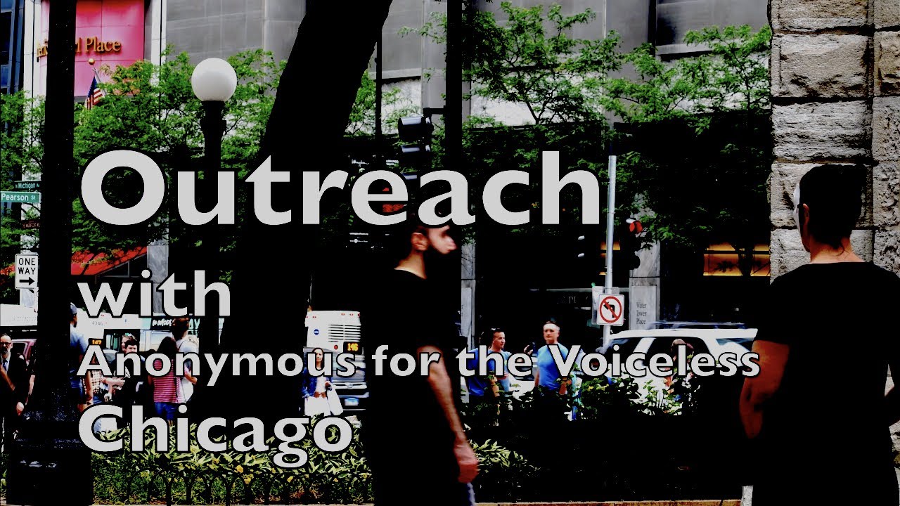 Vegan street outreach with Anonymous for the Voiceless (AV) Cube of Truth