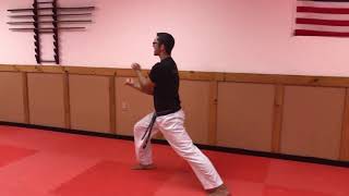 Blocking Form 2 - White Belt