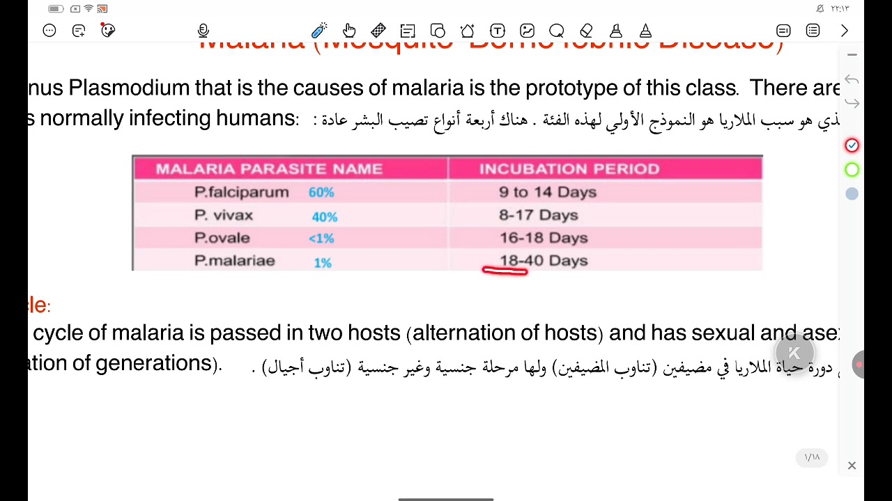 Coccidia (class Sporozoa) Phylum Apicomplexa /مايكرو/ محاضرة 11 /جزء الاول