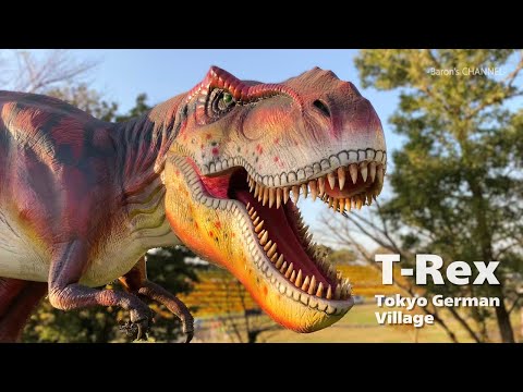 東京ドイツ村のTレックス 動く恐竜(千葉県袖ケ浦市)2024年11月4日
