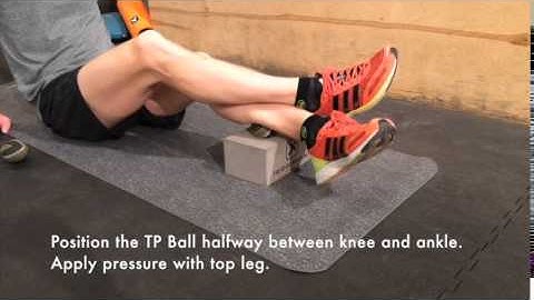 Trigger Point: The Rogue Basic