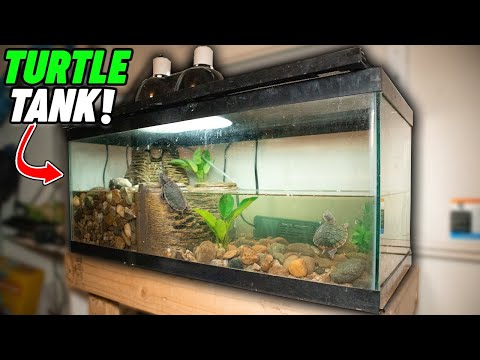 My NEW Baby TURTLE Tank Setup!! (Tetrafauna Aquarium)