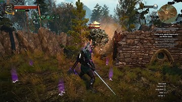 Witcher 3: Enhanced Edition | Earth Elemental hardest difficulty