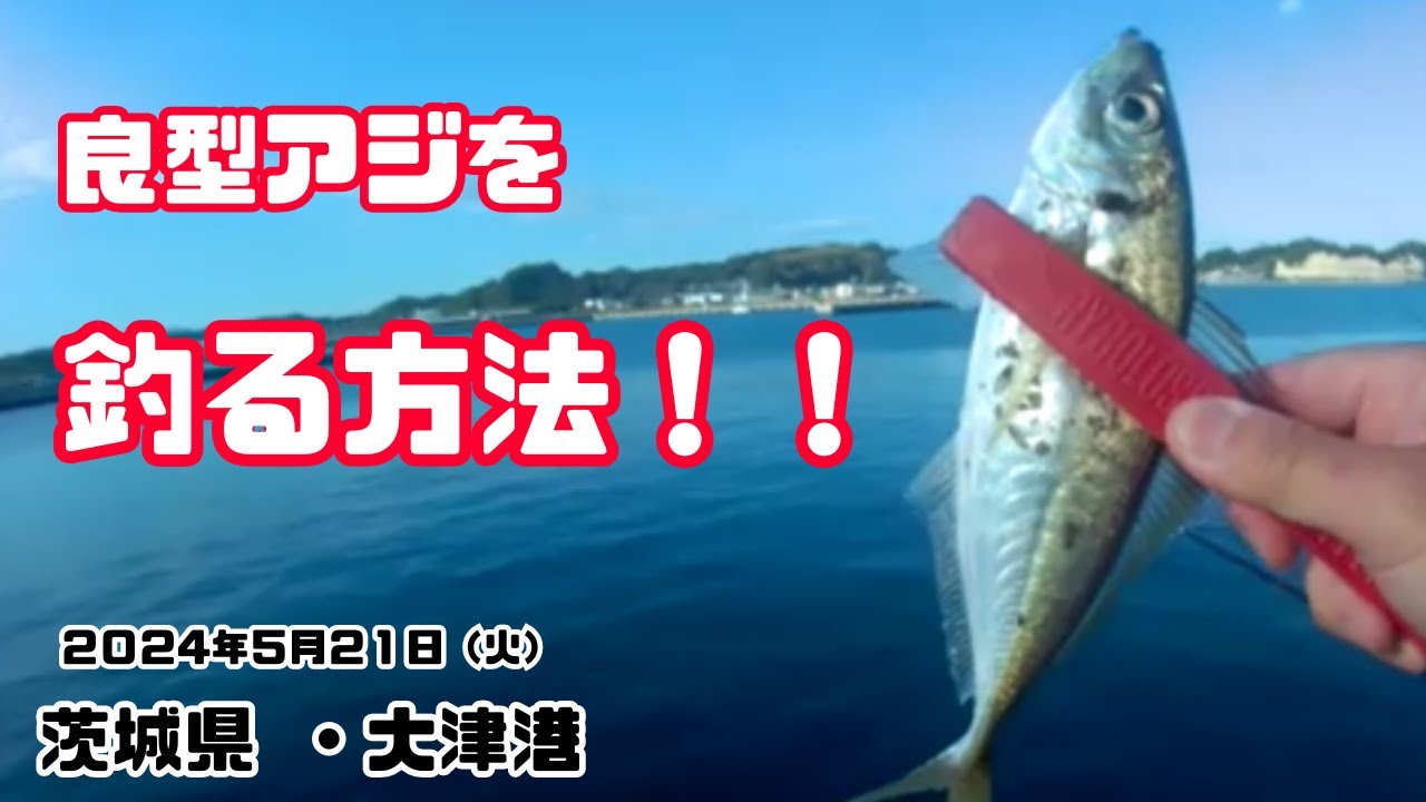 茨城県大津港・私はこれで良型アジを釣りました【2024年5月21日】