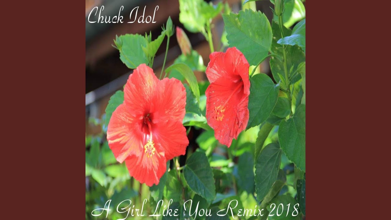 A Girl Like You (Remix 2018) YouTube