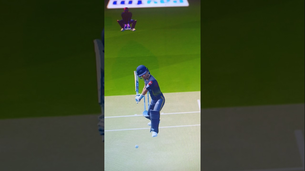 Batting cricket 19 