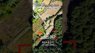 #홍천토지 #홍천강토지 #1억대토지 #1억대세컨하우스 #1억대전원주택 #최강부동산TV #최강부동산 #shorts #나는자연인이다 #급매토지 저렴한토지 #1억대농막