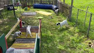 IMG 4489