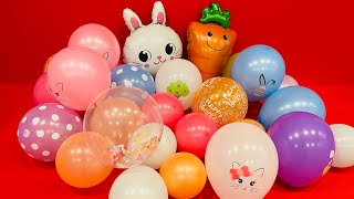 Fun happy birthday balloon popping satisfying asmr video Easter balloon#asmr#satisfyingvideo 
