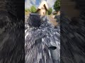 Creepers dropping into ultra realistic water #minecraft #minecraftrealistic