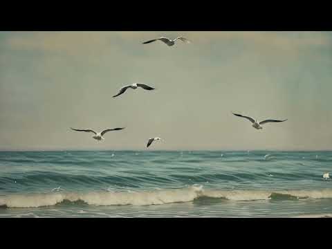 Chencho Fernández_El mar y la nada