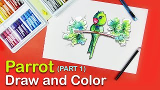 How to Draw and Color a Parrot Part-1 | Easy Drawing Tutorial | Creative Classroom