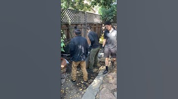 Decluttering - Spring Cleaning - Junk Removal Timelapse #beforeandafter #junkremoval #losangeles