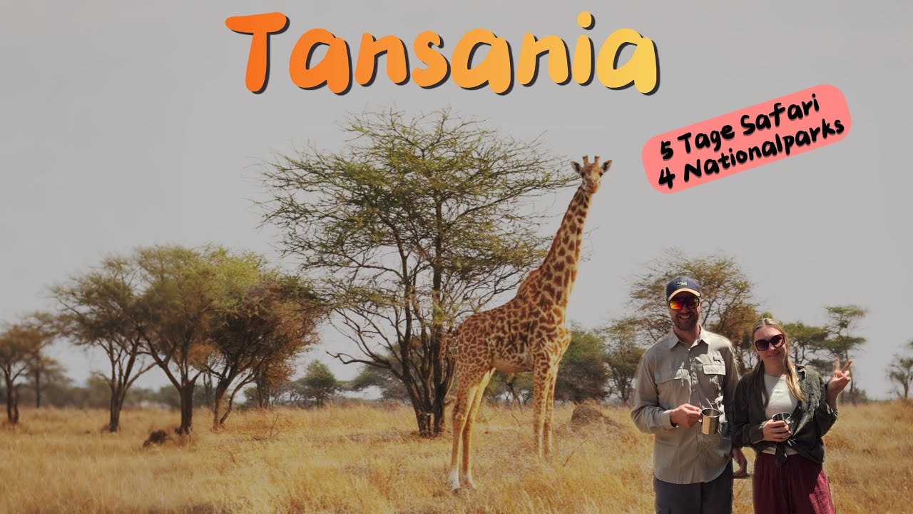 Tansania 5 Tage Safari 4 Nationalparks 