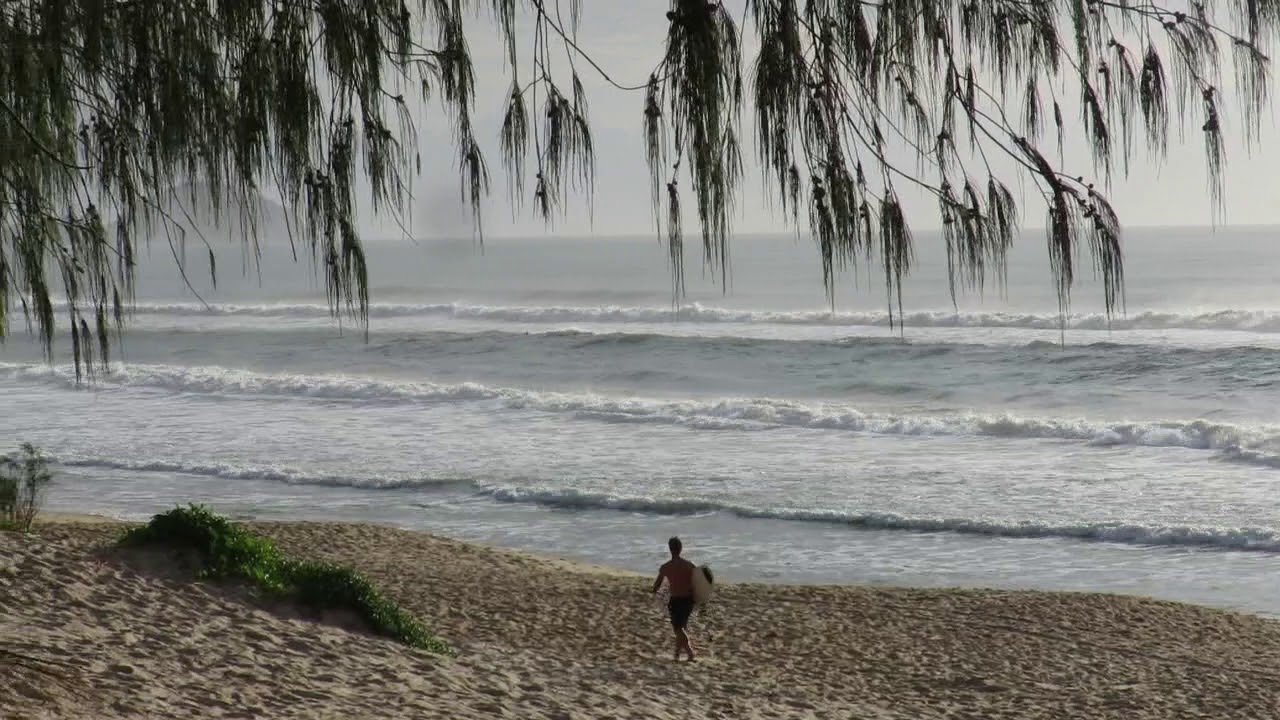 Praia do Moçambique 15 Fevereiro 2020 – Boletim das Ondas In Paradise
