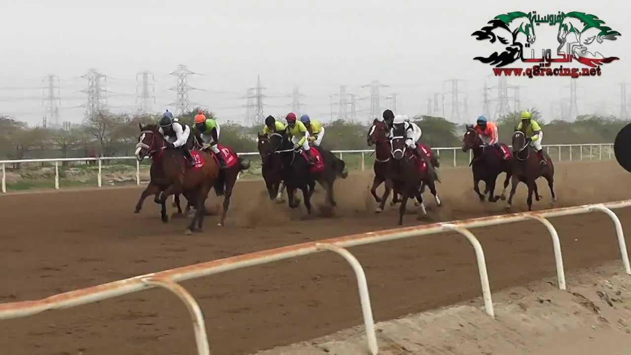 الجواد شمشاد