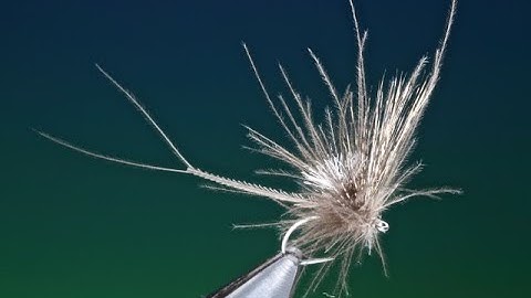 Fly Tying the Emaciated Mayfly with Barry Ord Clarke