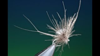 Fly Tying the Emaciated Mayfly with Barry Ord Clarke