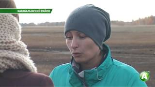 Скотокрады регулярно перегоняют коров и лошадей из Казахстана в Россию Скотокрады регулярно перегоняют коров и лошадей из Казахстана в Россию