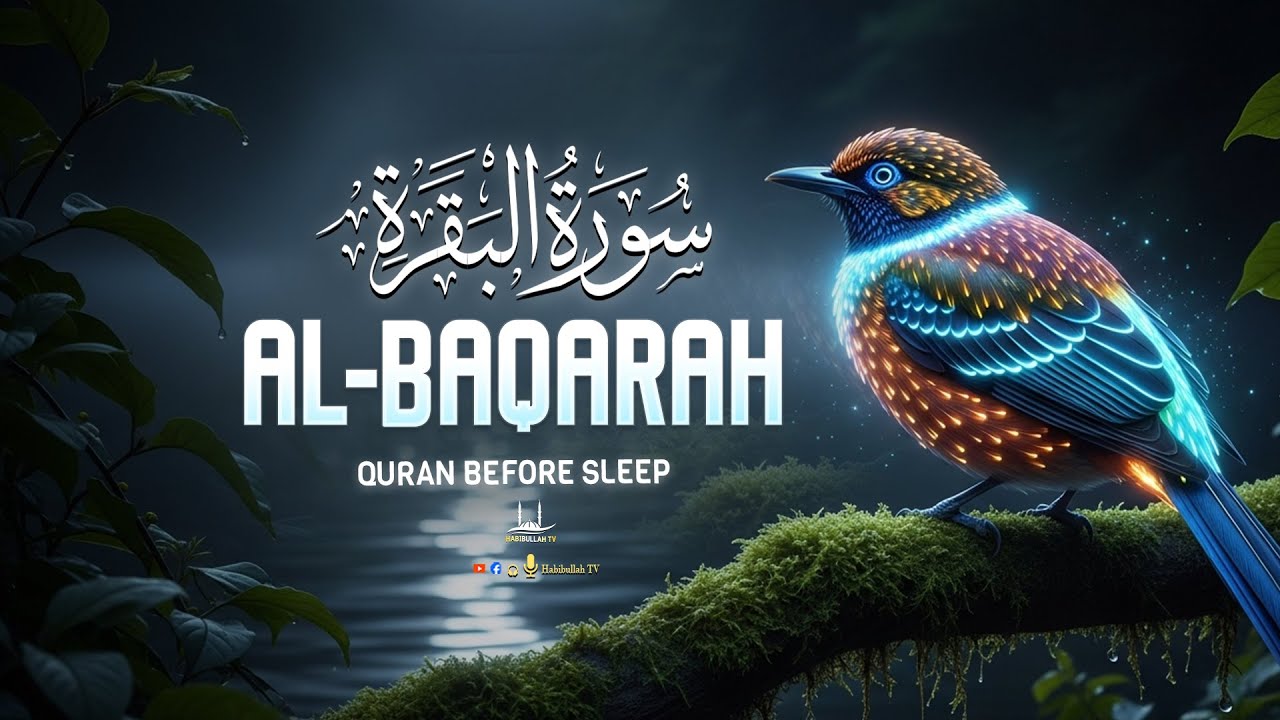 Surah Al-Baqarah Full ( سورة البقرة )| Relaxing Quran Recitation for Sleep & Lofi voice By Alaa Aqel