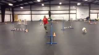 CPE Level 3 Jumpers