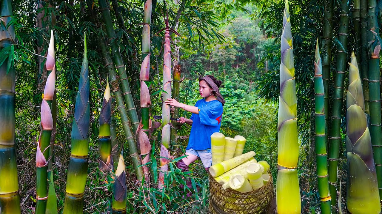 Harvesting Bamboo ShootsTo Sell At The Market, Cooking Dishes, Garden, And Raise Livestock