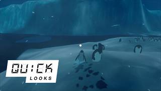 A Quick Look at Penguin Colony