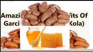 The Health Benefit Of Bitter Kola (updated version)