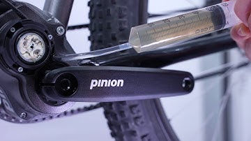 Ölwechsel Pinion C-Linie / Oil Change Pinion C-Line