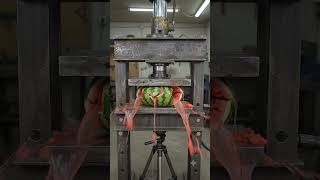 Watermelon Under Hydralic Machine