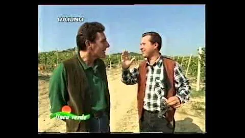 Chi conduce Linea Verde su Rai 1?
